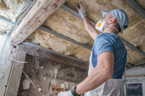 Best Commercial Insulation in Spring Glen, UT